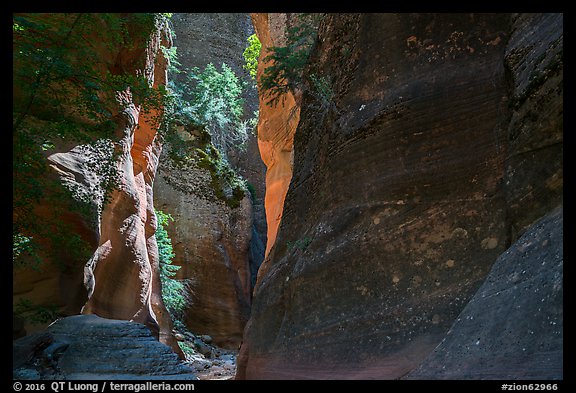 Shadows and light, Orderville Canyon. Zion National Park (color)
