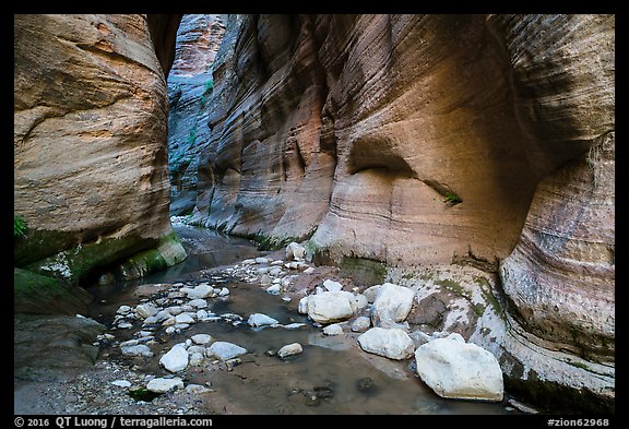 White boulders, Orderville Canyon. Zion National Park (color)