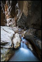 Stream, Orderville Canyon. Zion National Park ( color)