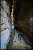Hikers walk between tall walls, Orderville Canyon. Zion National Park ( color)
