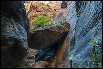 Large jammed boulder, Orderville Canyon. Zion National Park ( color)