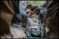 Boulder called Guillotine wedged in Orderville Canyon. Zion National Park ( color)