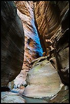 Slot canyon section of Orderville Canyon. Zion National Park ( color)
