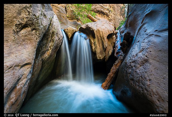 Waterfall and jammed log, Orderville Canyon. Zion National Park (color)