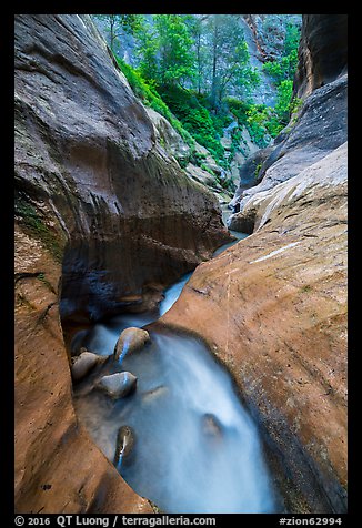 Narrow watercourse in Orderville Canyon. Zion National Park (color)