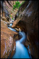 Twisted and narrow watercourse, Orderville Canyon. Zion National Park ( color)