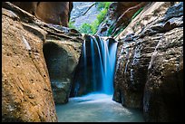 Waterfall, Orderville Canyon. Zion National Park ( color)