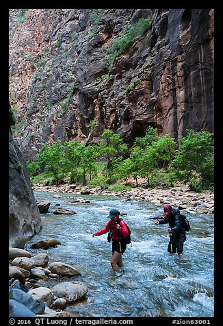 Hikers in the Narrows in late afternoon. Zion National Park (color)