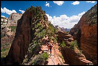 Hikers on narrow spine of Angels Landing. Zion National Park ( color)
