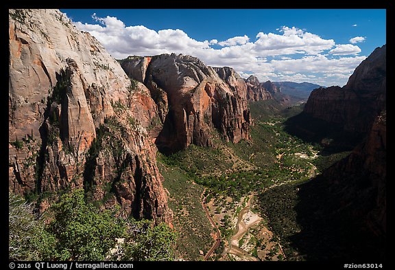 Zion Canyon from Angels Landing, afternoon. Zion National Park (color)