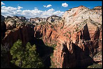View north from Angels Landing. Zion National Park ( color)