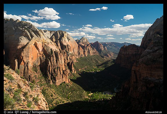 Zion Canyon and shadows from Angels Landing. Zion National Park (color)