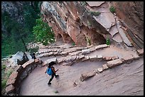 Hiking down Walters Wiggles. Zion National Park ( color)