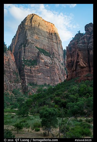 Great White Throne, late afternoon. Zion National Park (color)