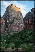 Great White Throne, late afternoon. Zion National Park ( color)