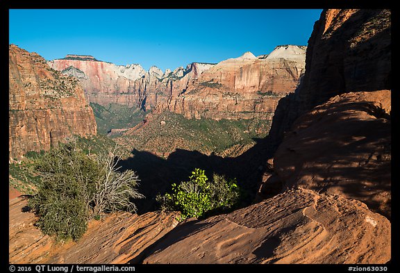 Canyon Overlook, early morning. Zion National Park (color)