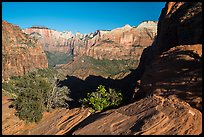 Canyon Overlook, early morning. Zion National Park ( color)