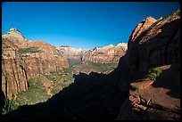 Shadow and canyon from Canyon Overlook. Zion National Park ( color)