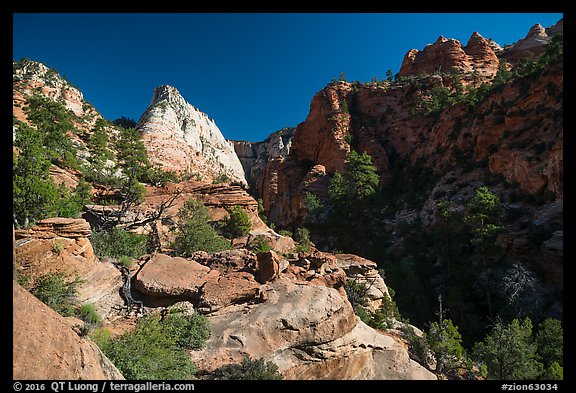 White Deertrap Mountain stands out amongst red sandstone. Zion National Park (color)