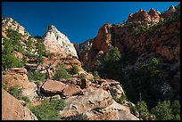 White Deertrap Mountain stands out amongst red sandstone. Zion National Park ( color)