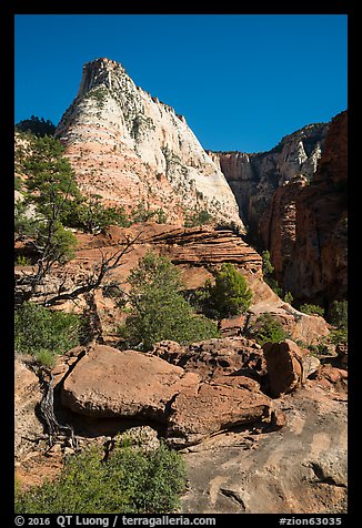 Deertrap Mountain, early morning. Zion National Park (color)