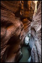 Red Keyhole Canyon walls and white stone. Zion National Park ( color)