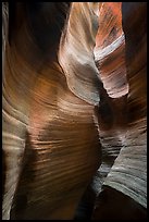 Sculptural walls, Keyhole Canyon. Zion National Park ( color)