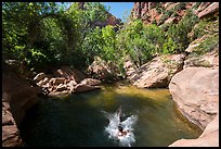 Swimming hole, Pine Creek. Zion National Park ( color)
