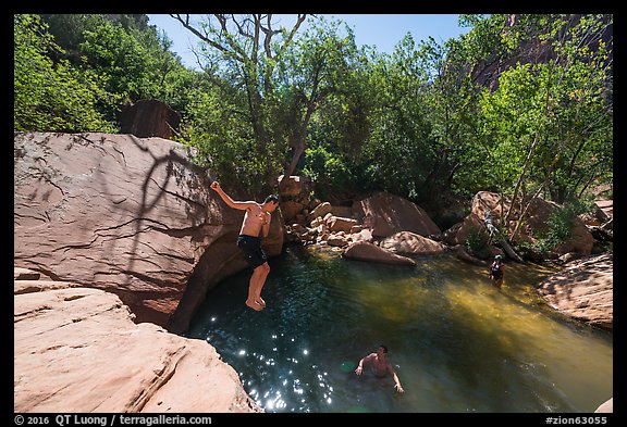 Man jumping into water, Pine Creek. Zion National Park, Utah, USA.
