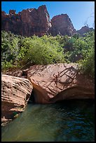 Man jumps from rock into water, Pine Creek. Zion National Park ( color)