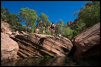 Jumping into water at swimming hole, Pine Creek. Zion National Park ( color)