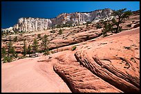 Slickrock and cliffs, Russell Gulch. Zion National Park ( color)