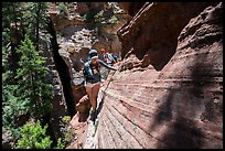 Hiker on narrow ledge, Russell Gulch. Zion National Park ( color)