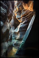 Tight and sculptured section of Upper Left Fork slot canyon. Zion National Park ( color)