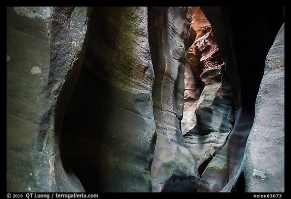 Tight slot canyon, Upper Left Fork (Das Boot). Zion National Park (color)