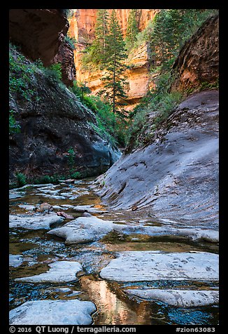 Stream and canyon walls, Left Fork. Zion National Park (color)