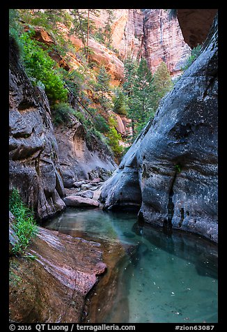 Clear waters and canyon walls along Left Fork. Zion National Park (color)