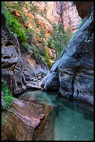 Clear waters and canyon walls along Left Fork. Zion National Park ( color)
