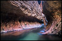 Left Fork flows in tight section of Upper Subway. Zion National Park ( color)