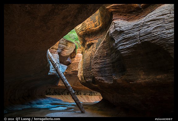 Log carried by flash floods, Upper Subway. Zion National Park (color)