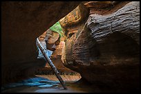 Log carried by flash floods, Upper Subway. Zion National Park ( color)