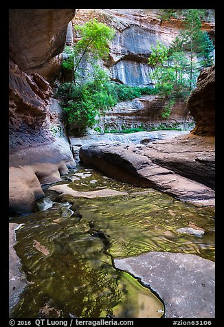 Green reflections, Upper Subway. Zion National Park (color)