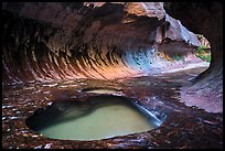 Pool and alcove, the Subway. Zion National Park ( color)