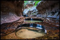 Left Fork flowing over pools, the Subway. Zion National Park ( color)