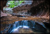 Cascades and pools, the Subway. Zion National Park ( color)