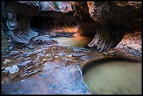 Downstream view of the Subway. Zion National Park ( color)