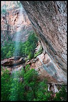 Water trickle and alcove above Emerald Pool in the spring. Zion National Park ( color)