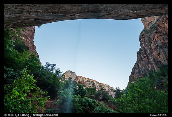 View from beneath alcove with water trickle, dusk. Zion National Park, Utah, USA.