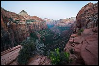 Canyon Overlook, dawn. Zion National Park ( color)
