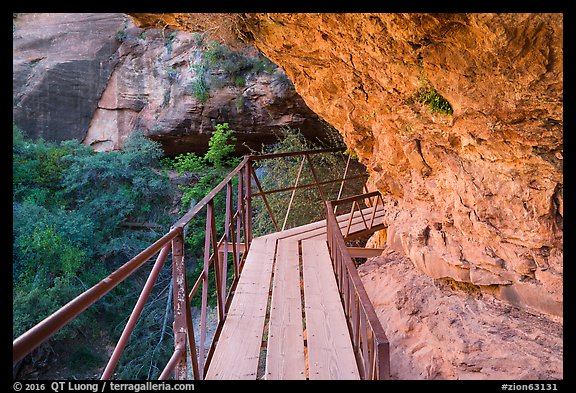 Boardwalk bridge, Canyon Overlook Trail. Zion National Park (color)
